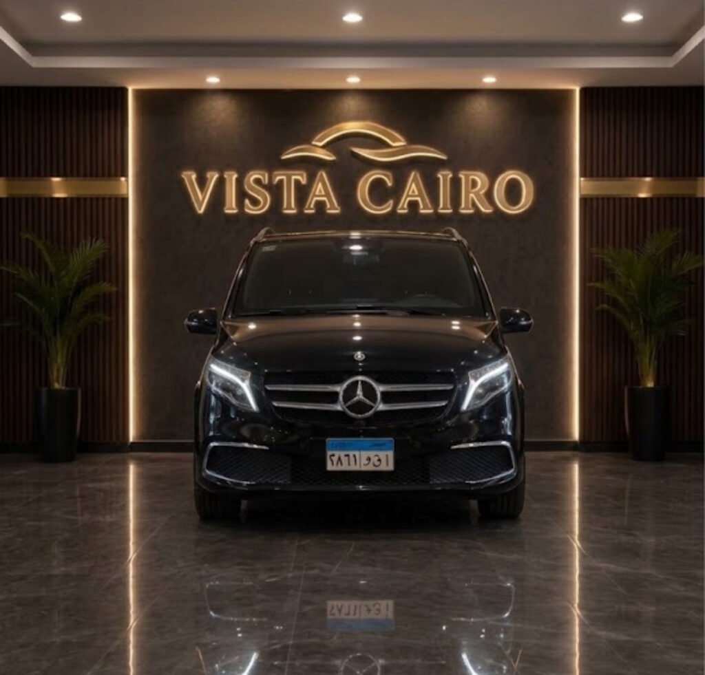 Mercedes Viano